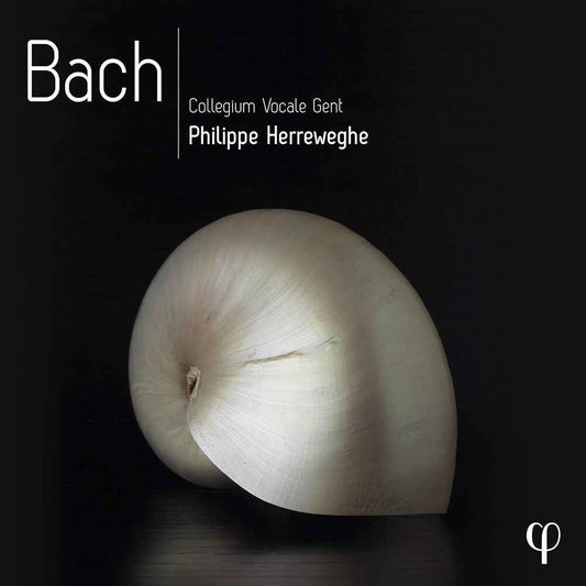 Bach (Box) [CD]