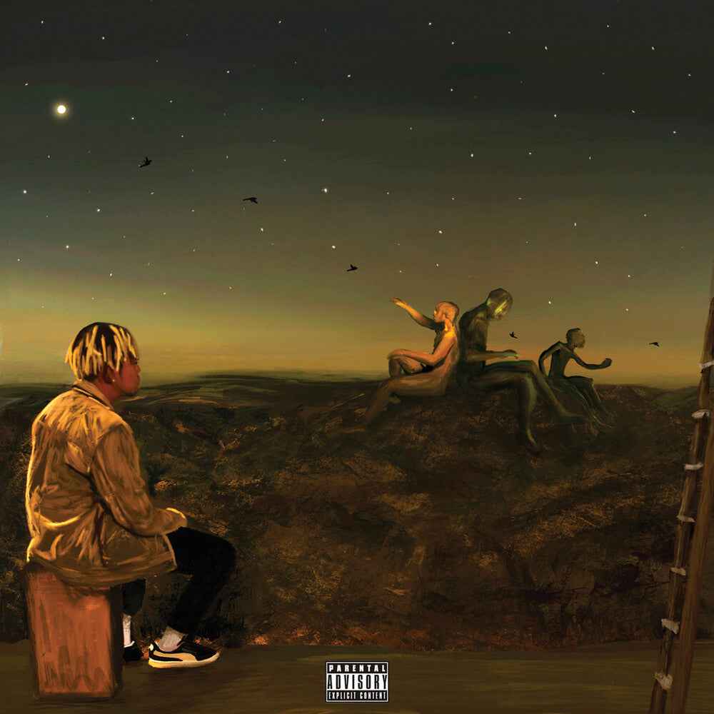 From A Birds Eye View [CD]