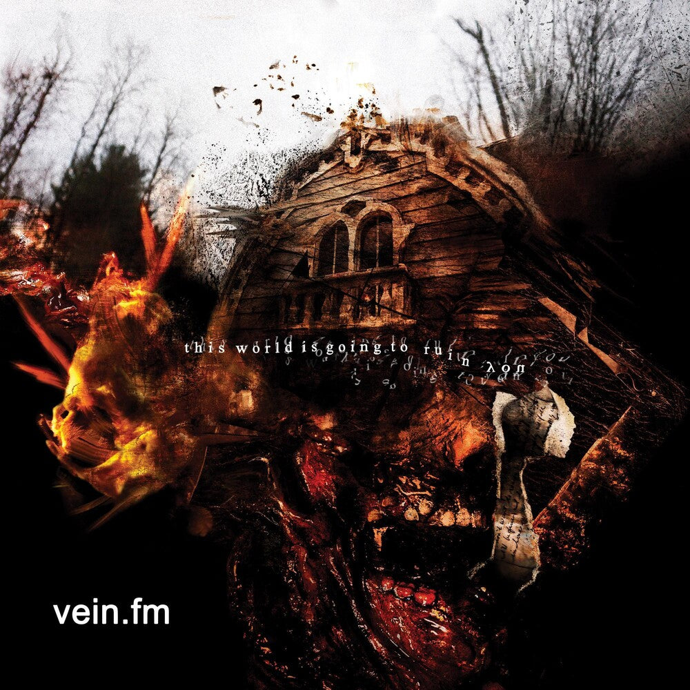 Vein.Fm - This World Is Going To Ruin You [CD]