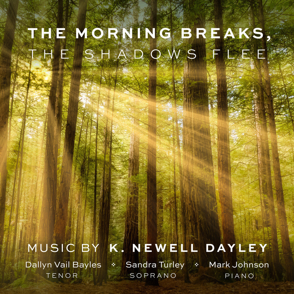 Blake / Johnson / Turley - Morning Breaks Shadows Flee [2 CD]