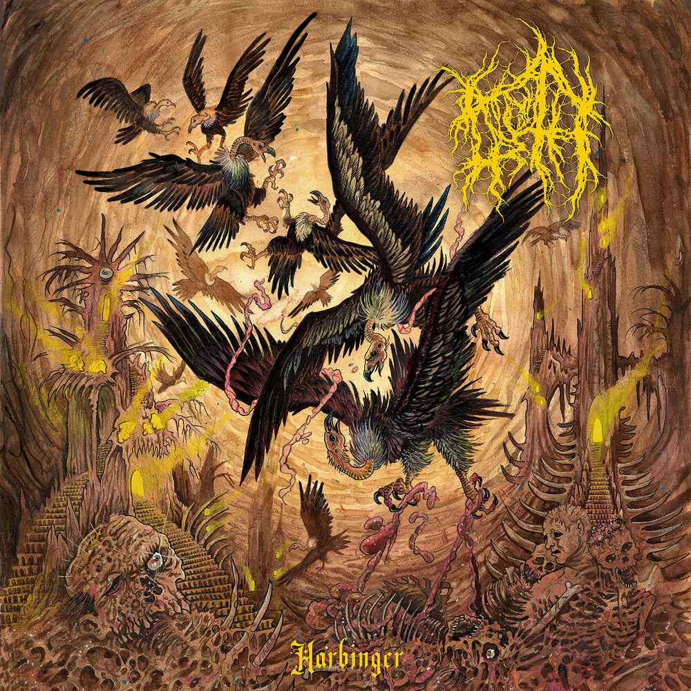 Harbinger [LP]