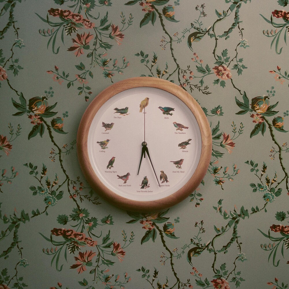 Valleyheart - Heal My Head [CD]