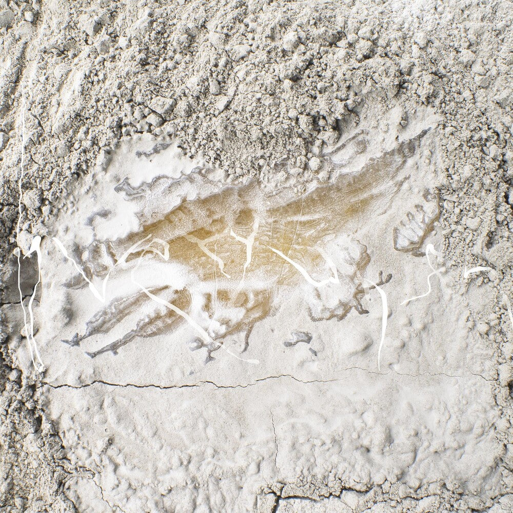 Kawchuk, Jonathan - Everywhen [LP] Vinyl Record