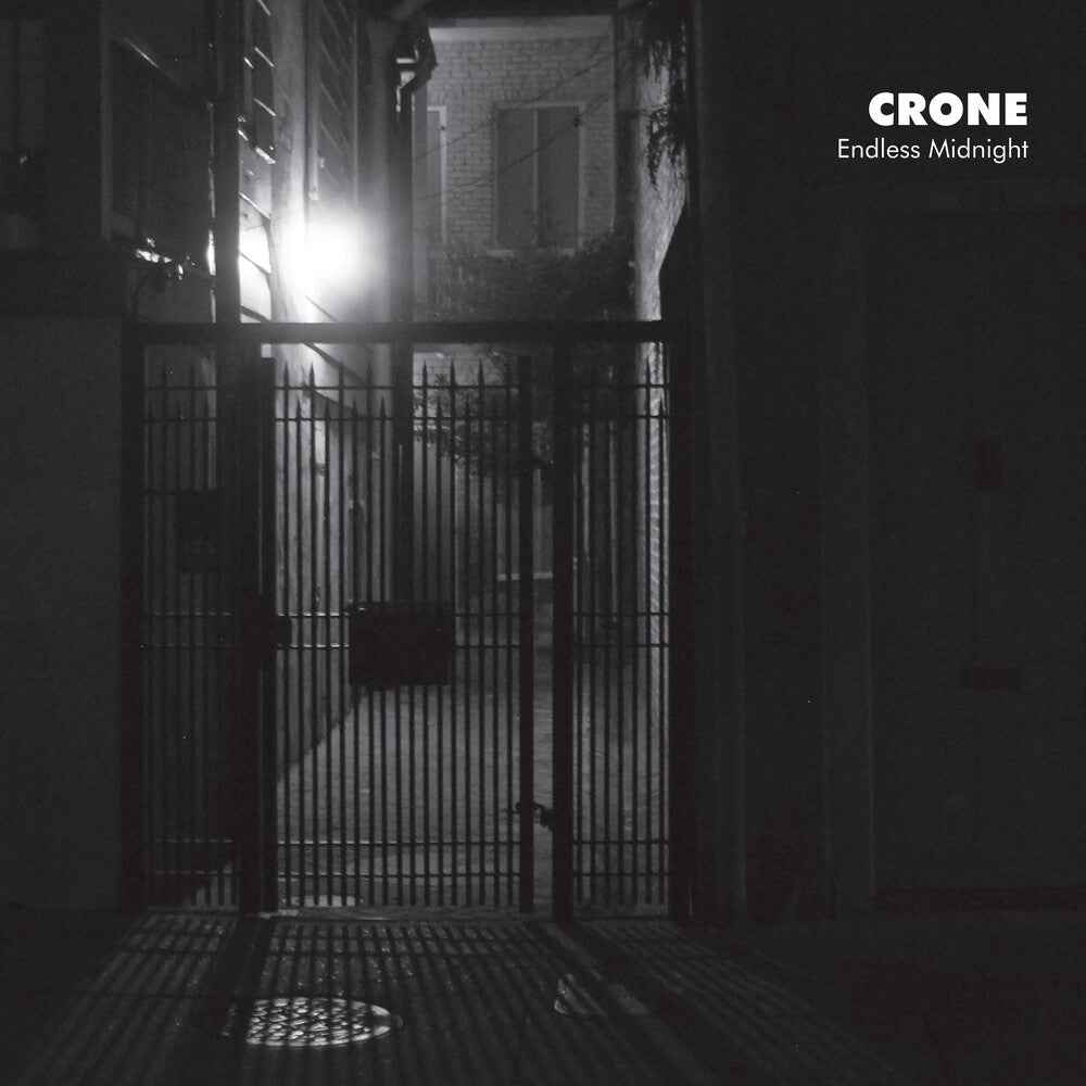 Endless Midnight [LP]