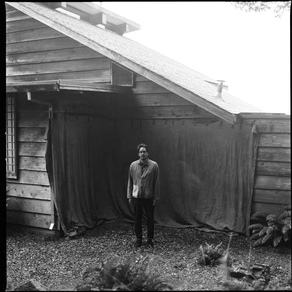 Dressing Like A Stranger [LP]