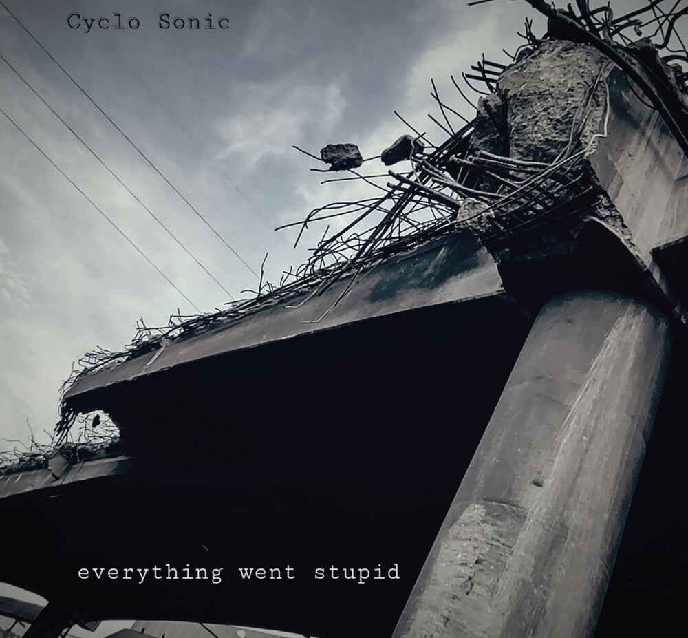 Everything Went Stupid [LP]