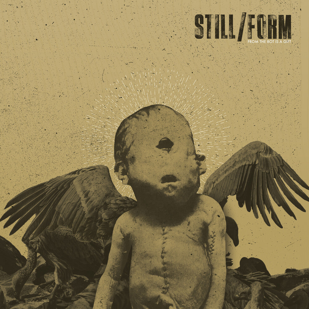 Still/Form - From The Rot Is A Gift [LP] Vinyl Record