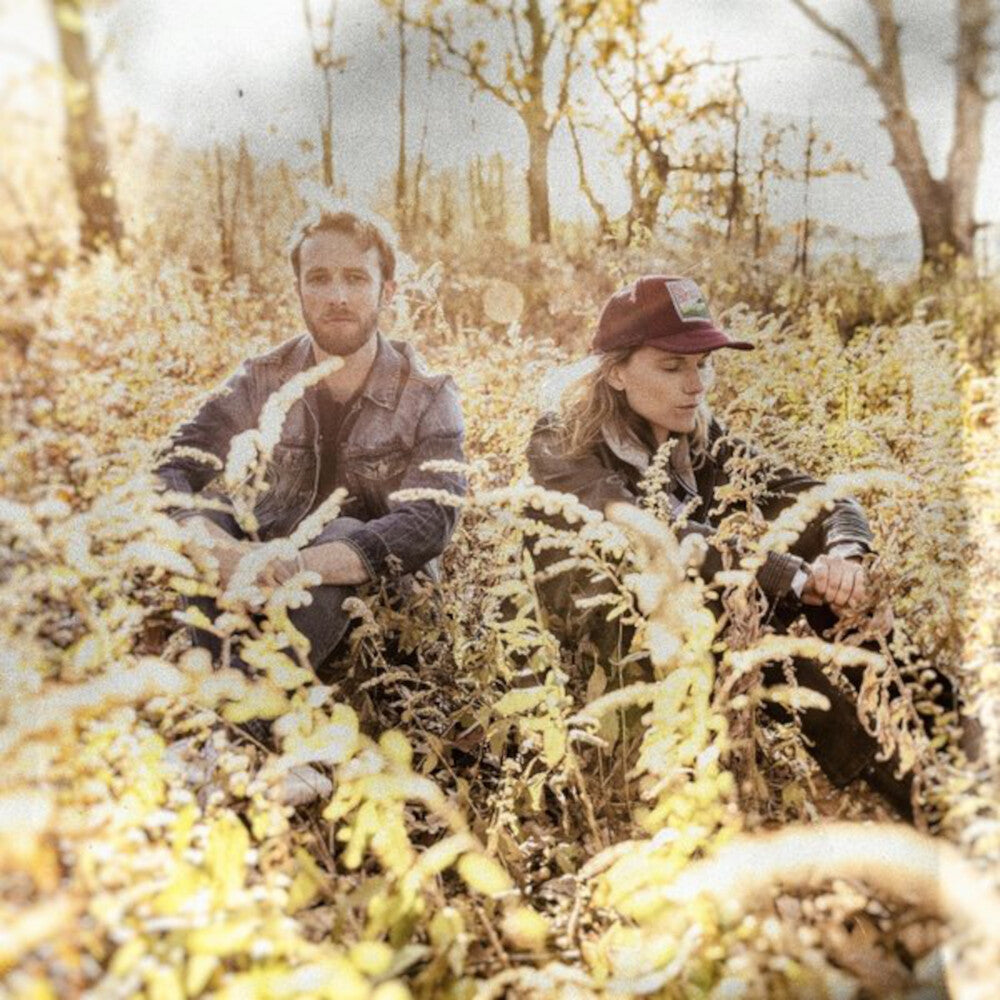 Dead Horses - Birds Music CD