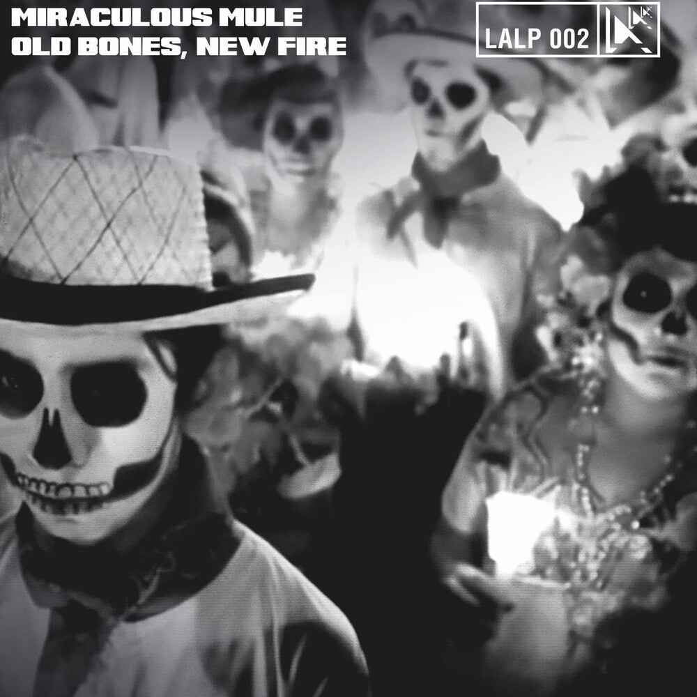 Old Bones New Fire [LP]