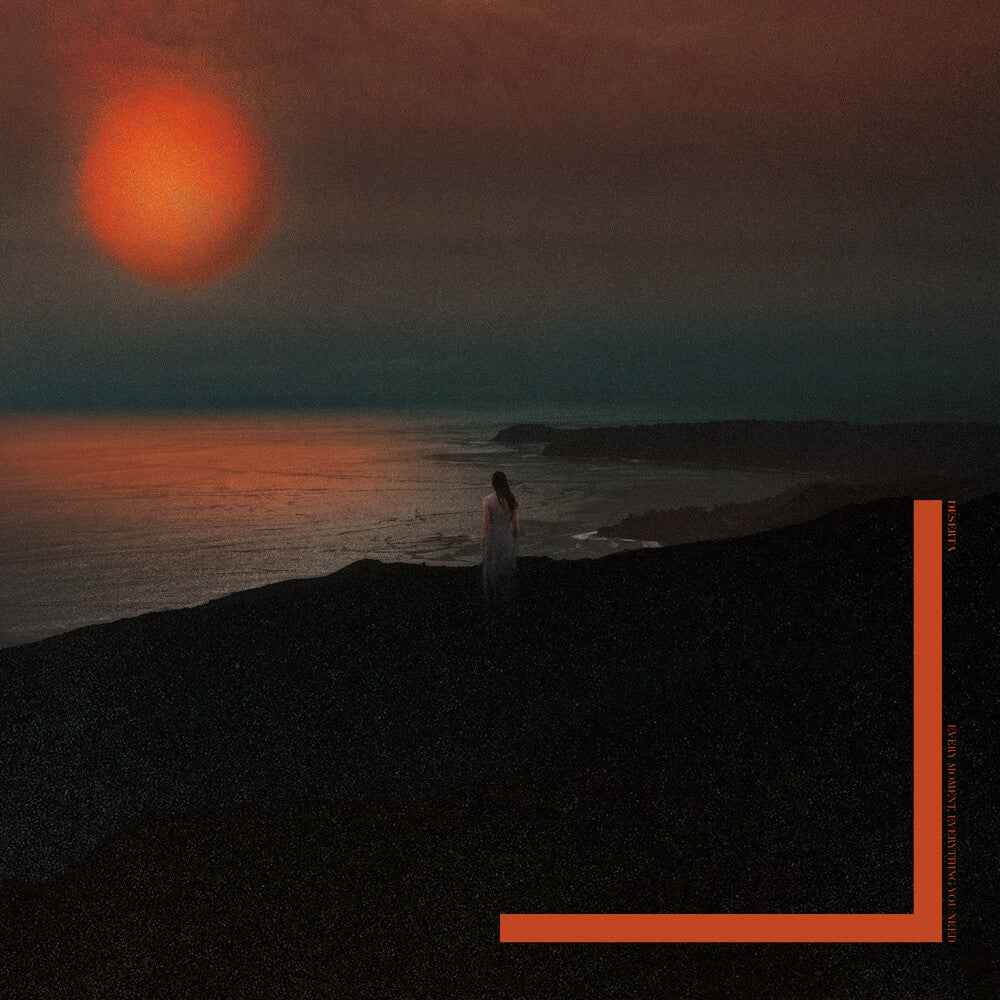 Every Moment Everything You Need [Colored Vinyl] (Org)