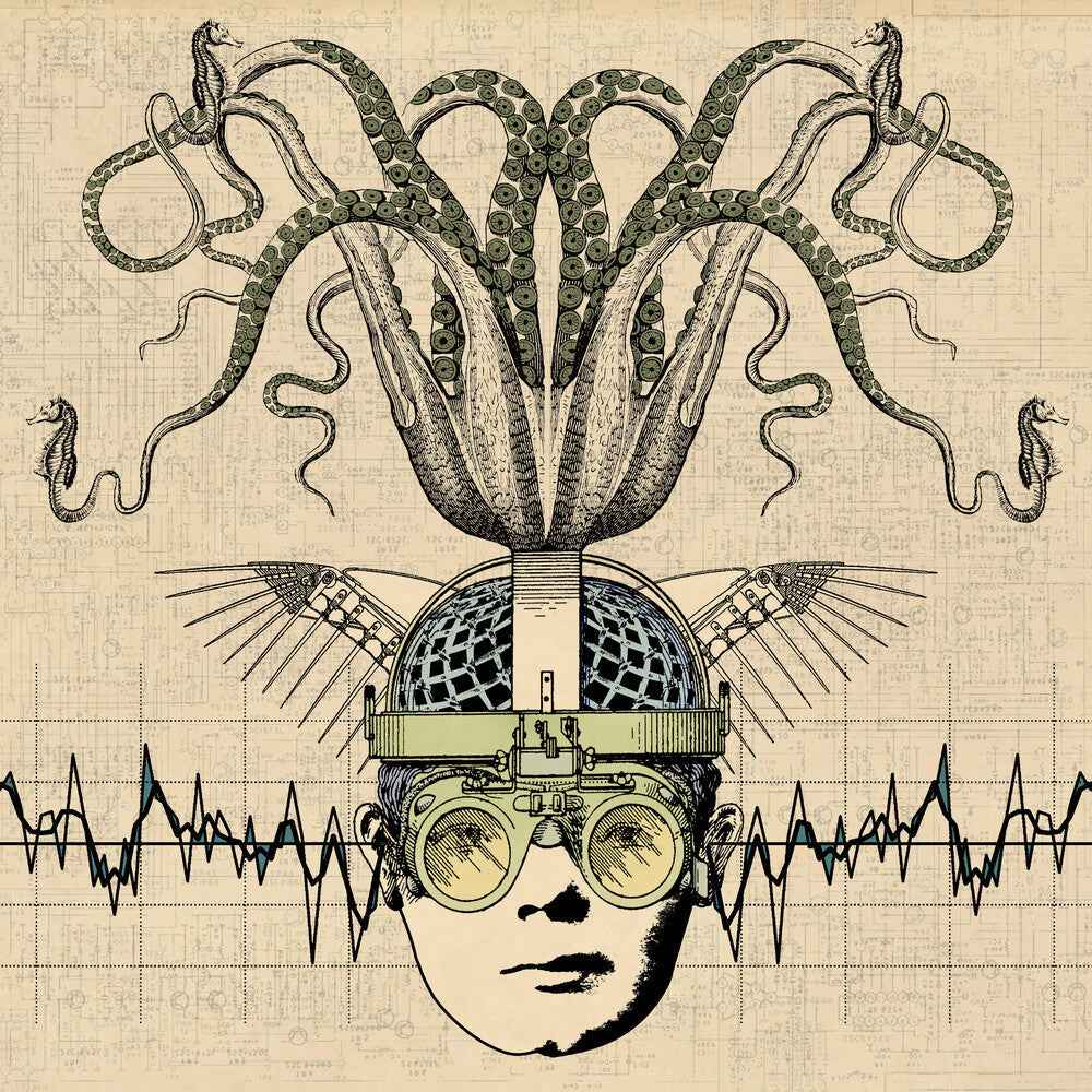 Stranger Heads Prevail [Digipak]