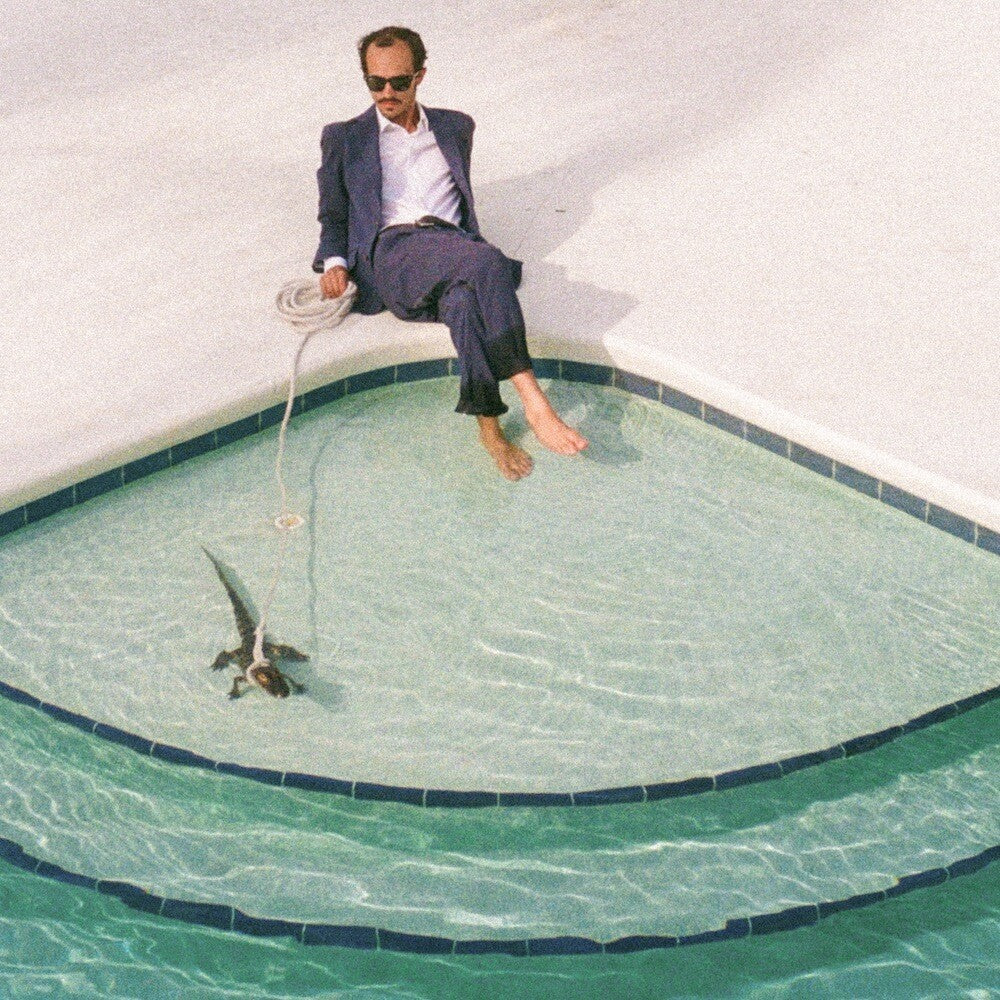 PWNT - Days In The Summer [LP] Vinyl Record