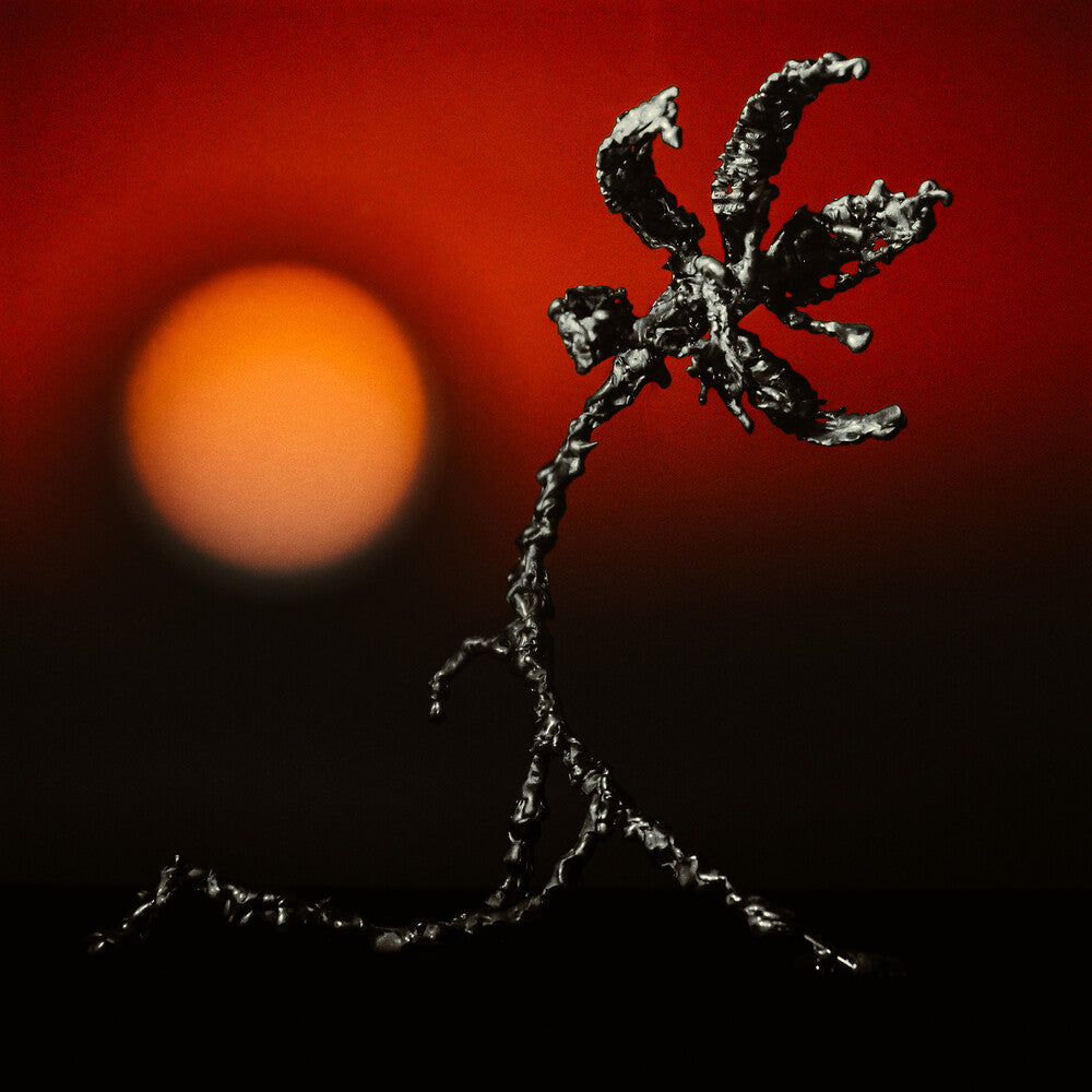 Nze Nze - Adzi Akal [LP] Vinyl Record