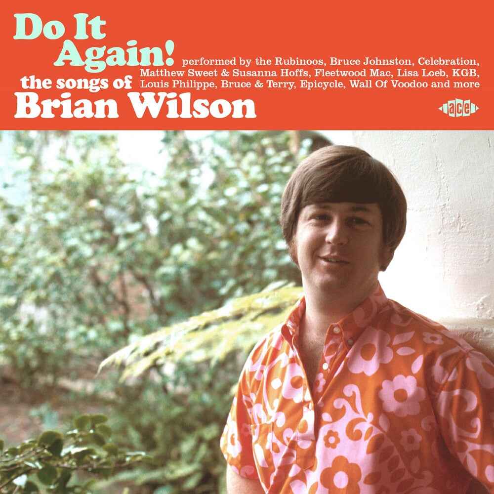 Do It Again: The Songs Of Brian Wilson / Various [CD]