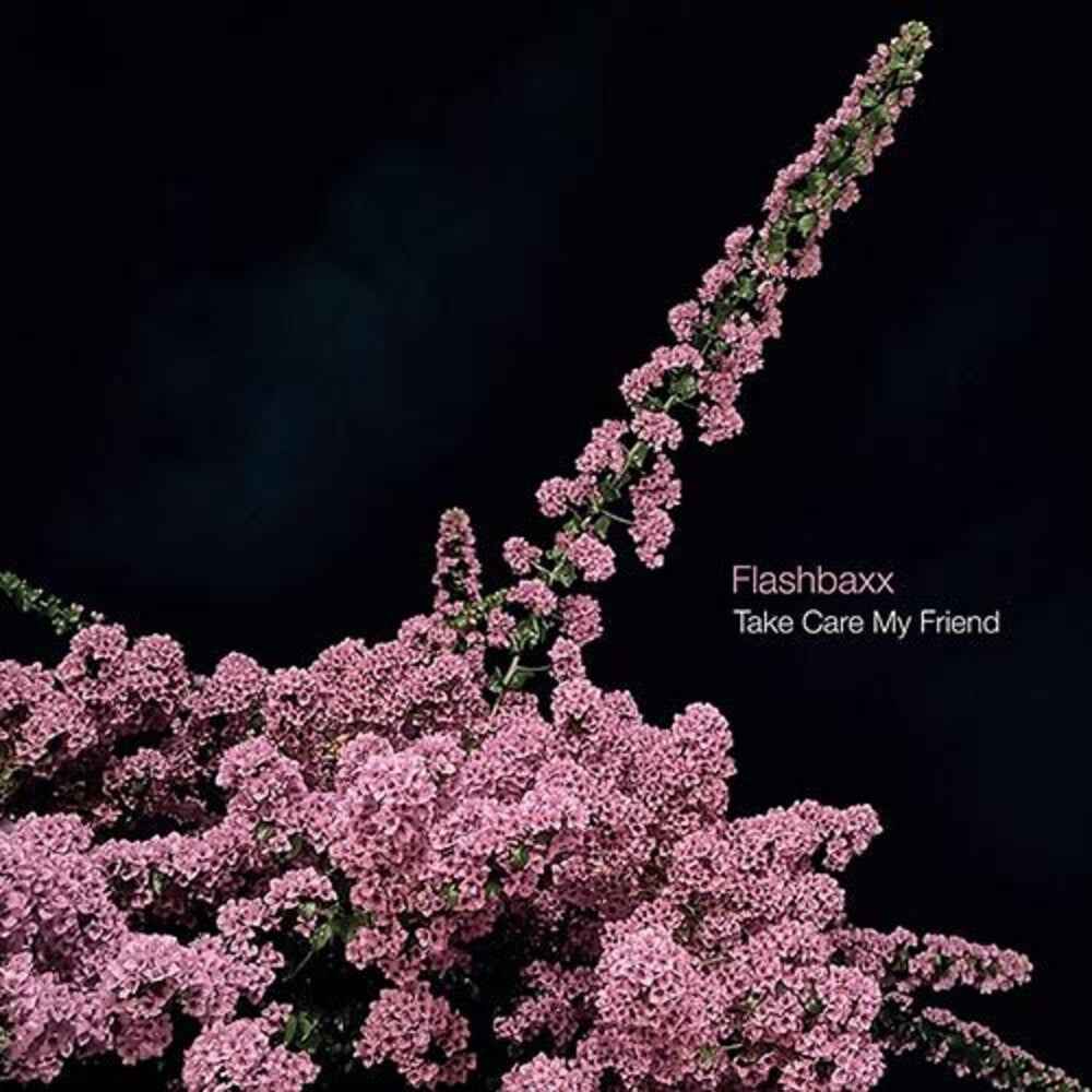 Take Care My Friend [LP]