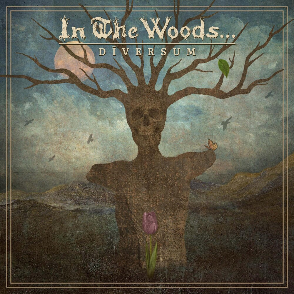 In the Woods... - DIVERSUM [LP] Vinyl Record