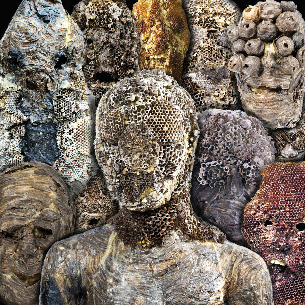 Metal Preyers - Shadow Swamps (Can) [LP] Vinyl Record