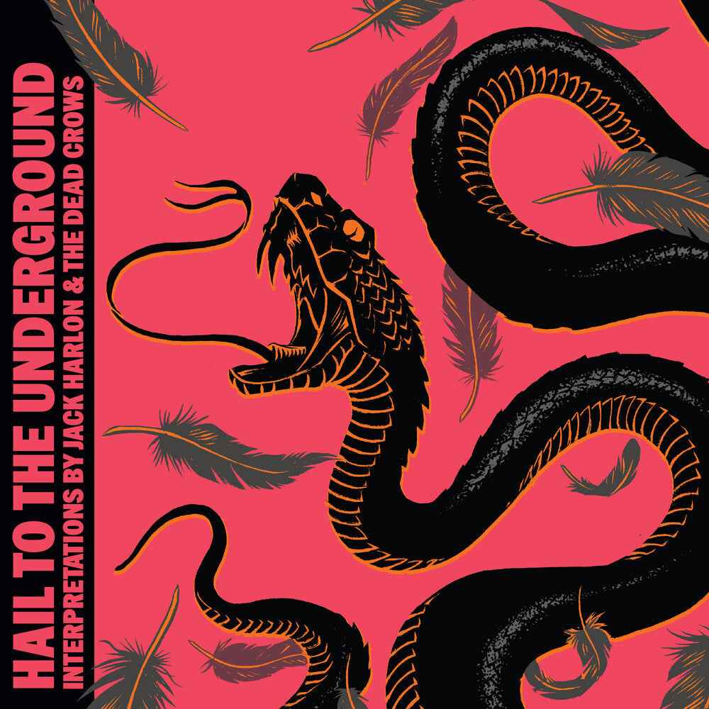 Hail To The Underground [LP]
