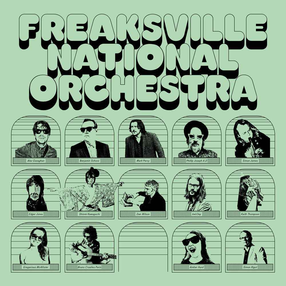 Freaksville National Orchestra [LP]