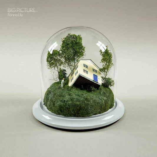 Big Picture [Ultramarine LP]