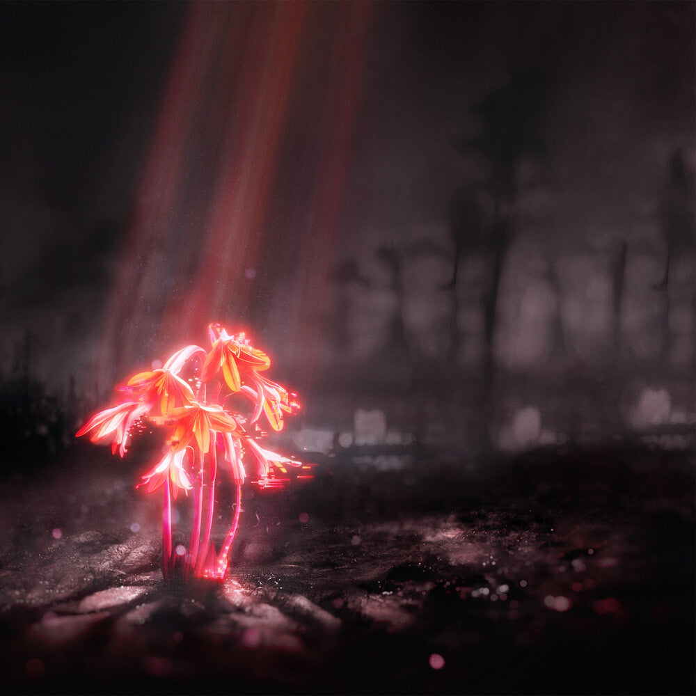 Enter Shikari - A Kiss for the Whole World [CD]