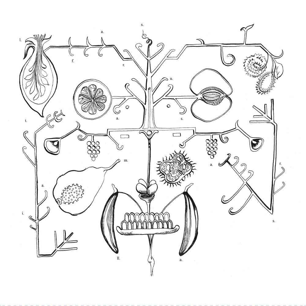 Las Frutas Amarilla [LP]