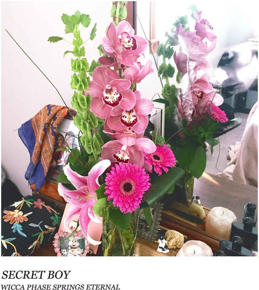Secret Boy - Doublemint Green [LP]