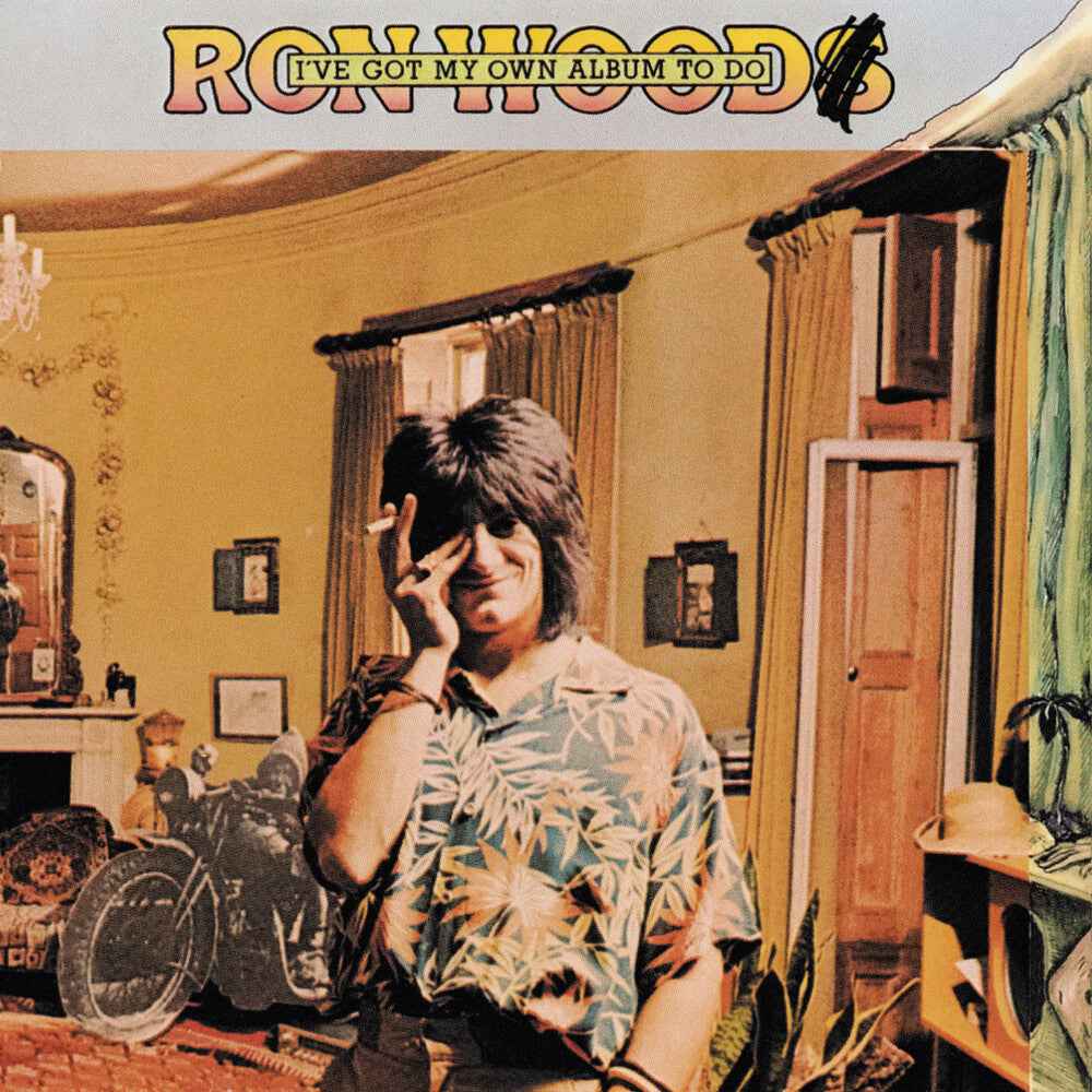 I've Got My Own Album To Do (Hol) [CD]