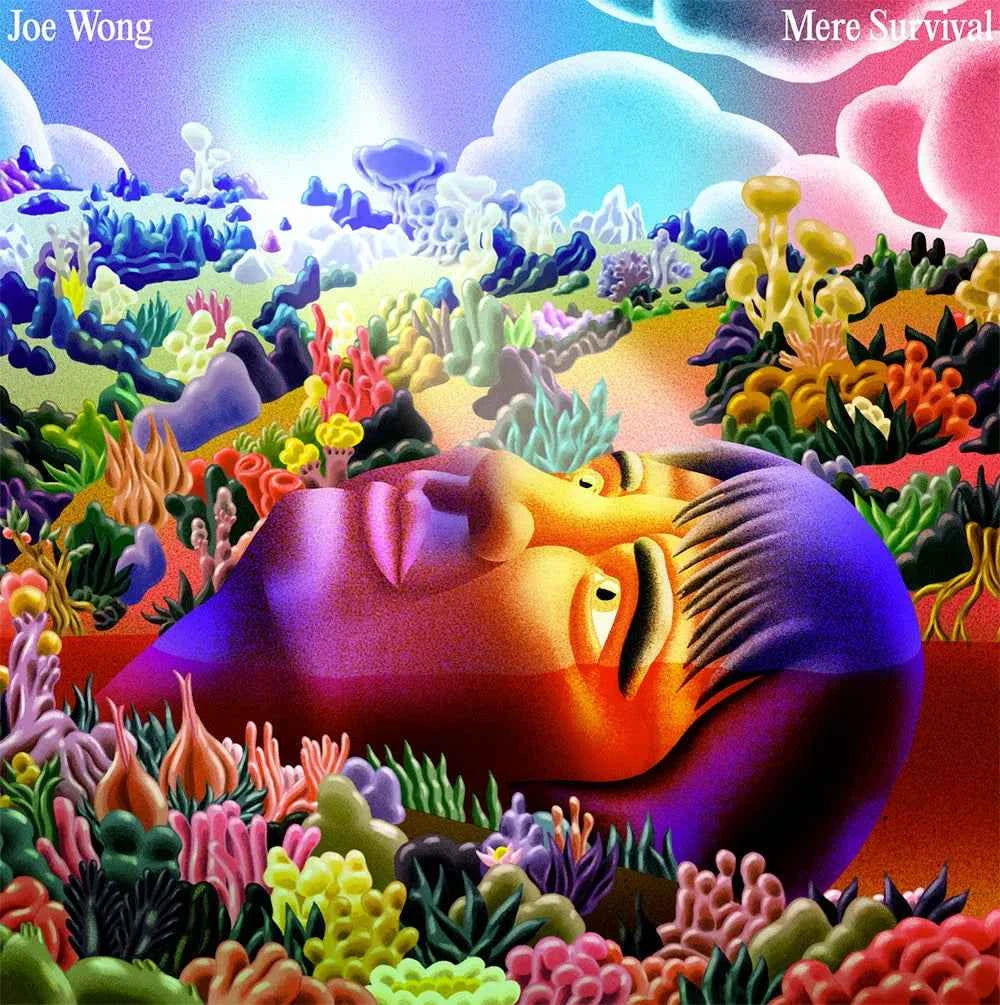 Mere Survival [LP]