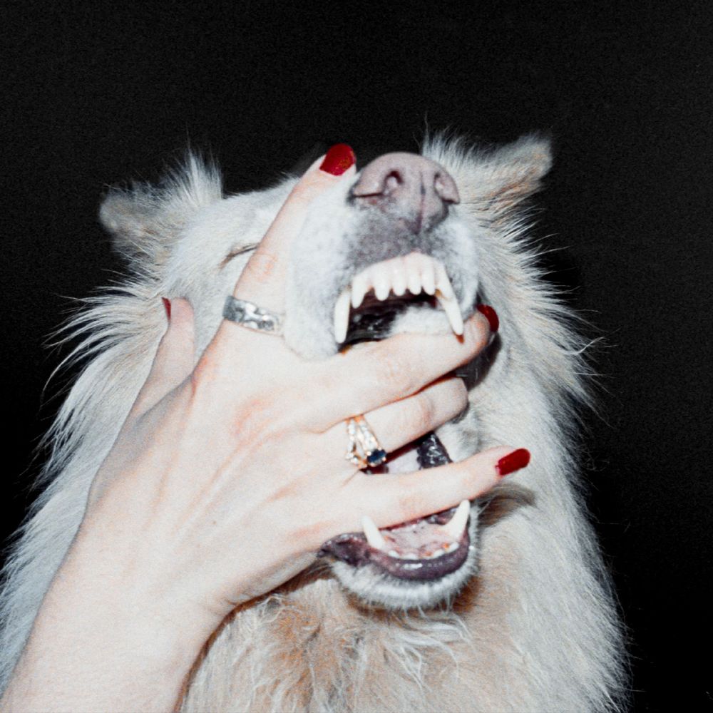 Pre-Order: Hush [LP]