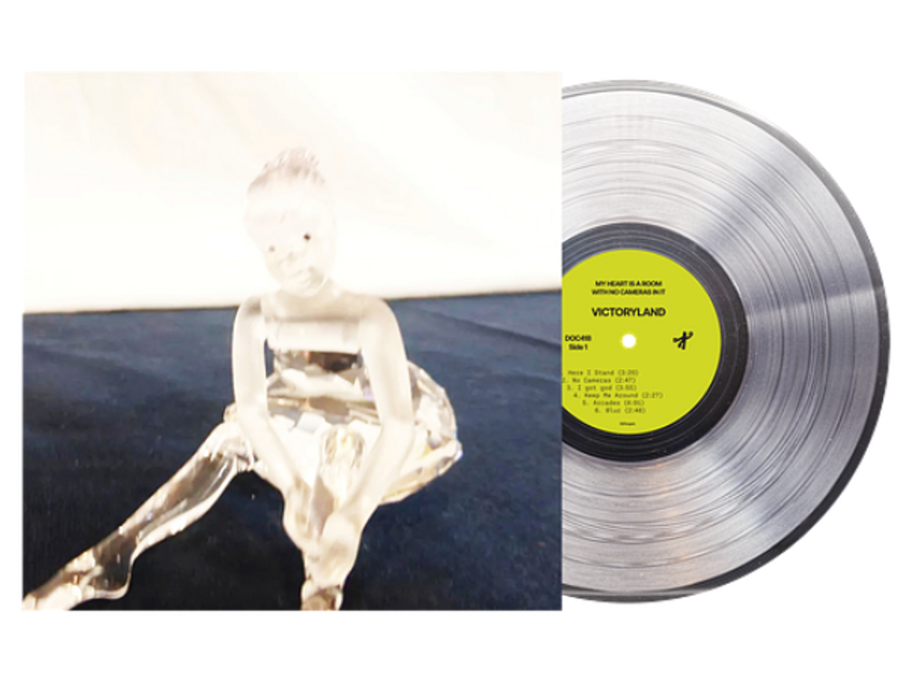 Pre-Order: My Heart Is A Room With No Cameras In It - Deluxe [Crystal Clear]