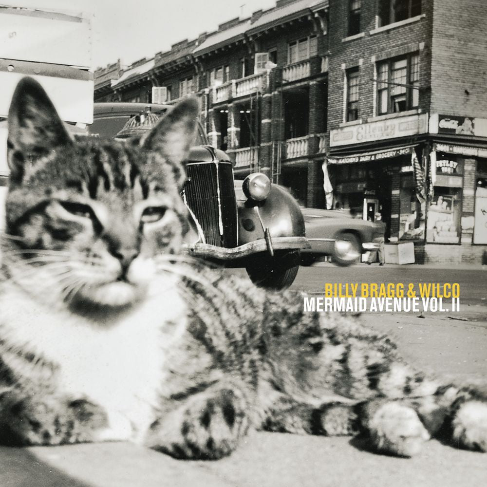PRE-ORDER: Mermaid Avenue Vol. II - [180g Black]
