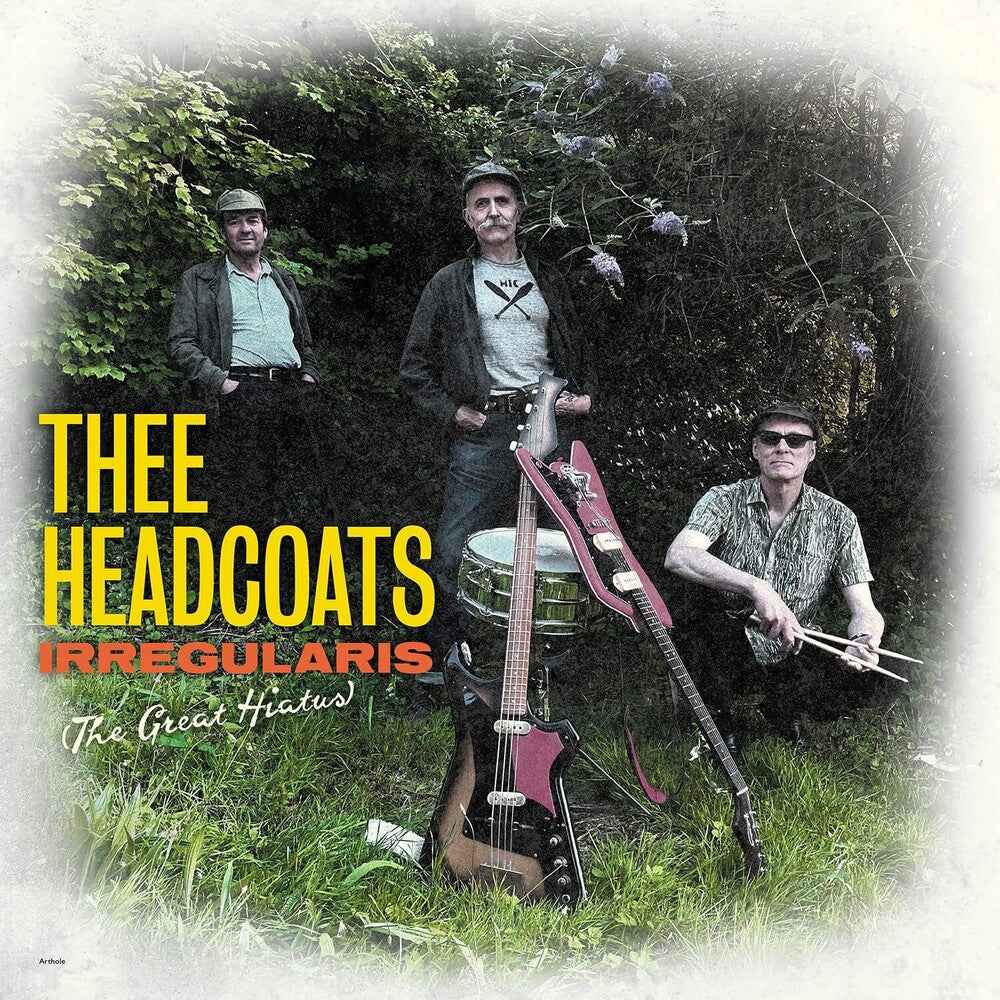 Irregularis: The Great Hiatus [LP]