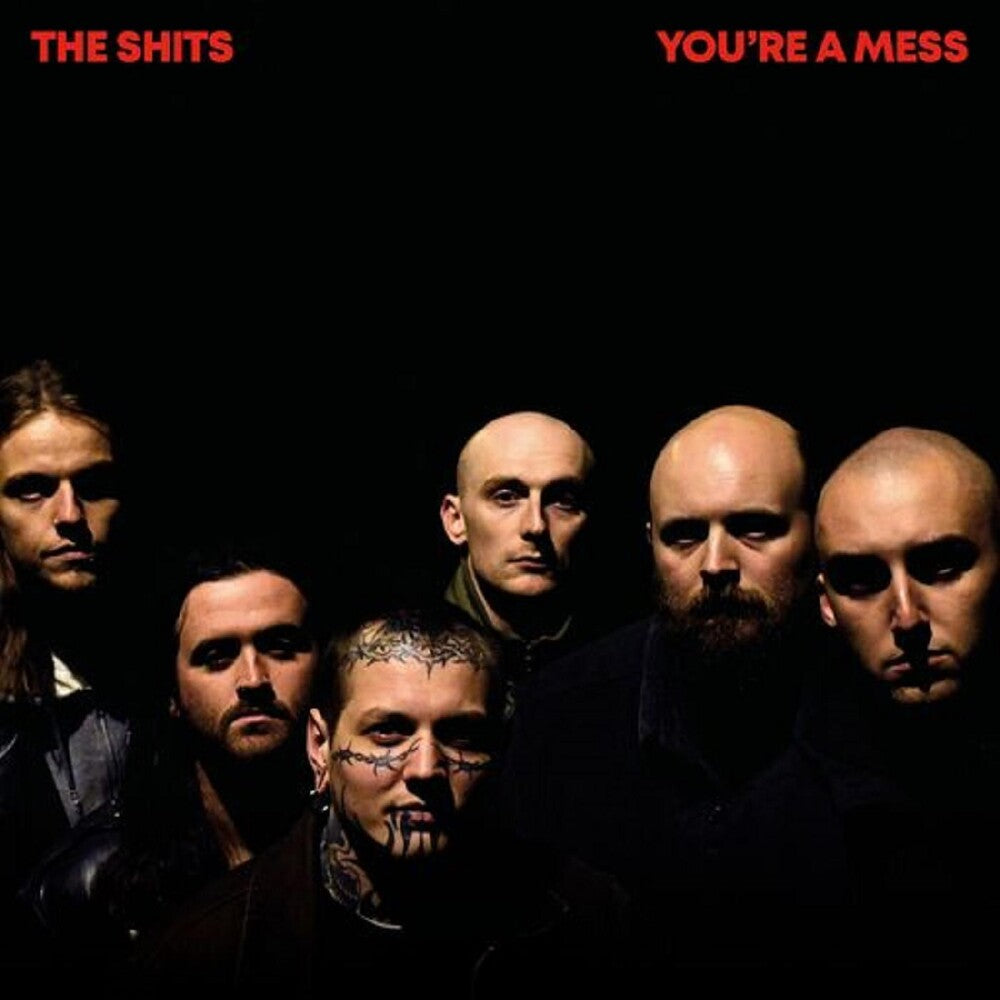 Shits - You're A Mess [LP] Vinyl Record