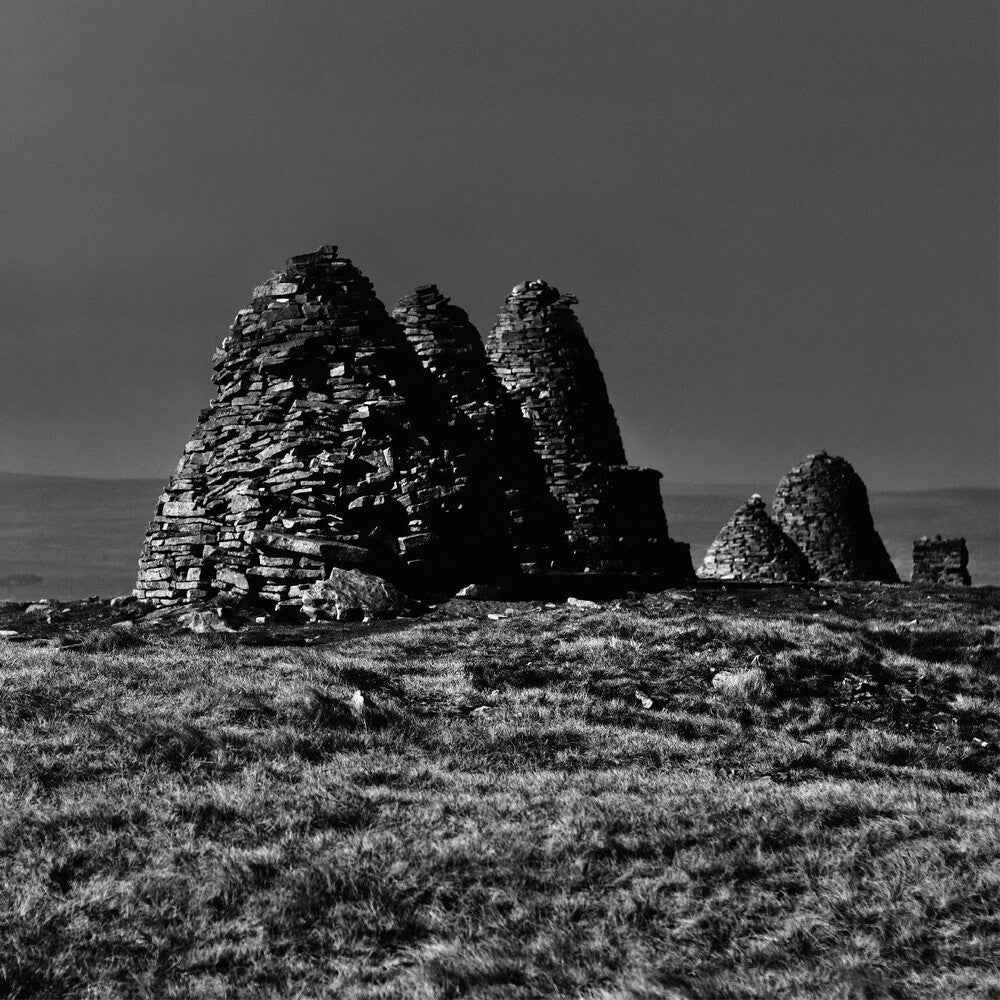 Standers [LP]