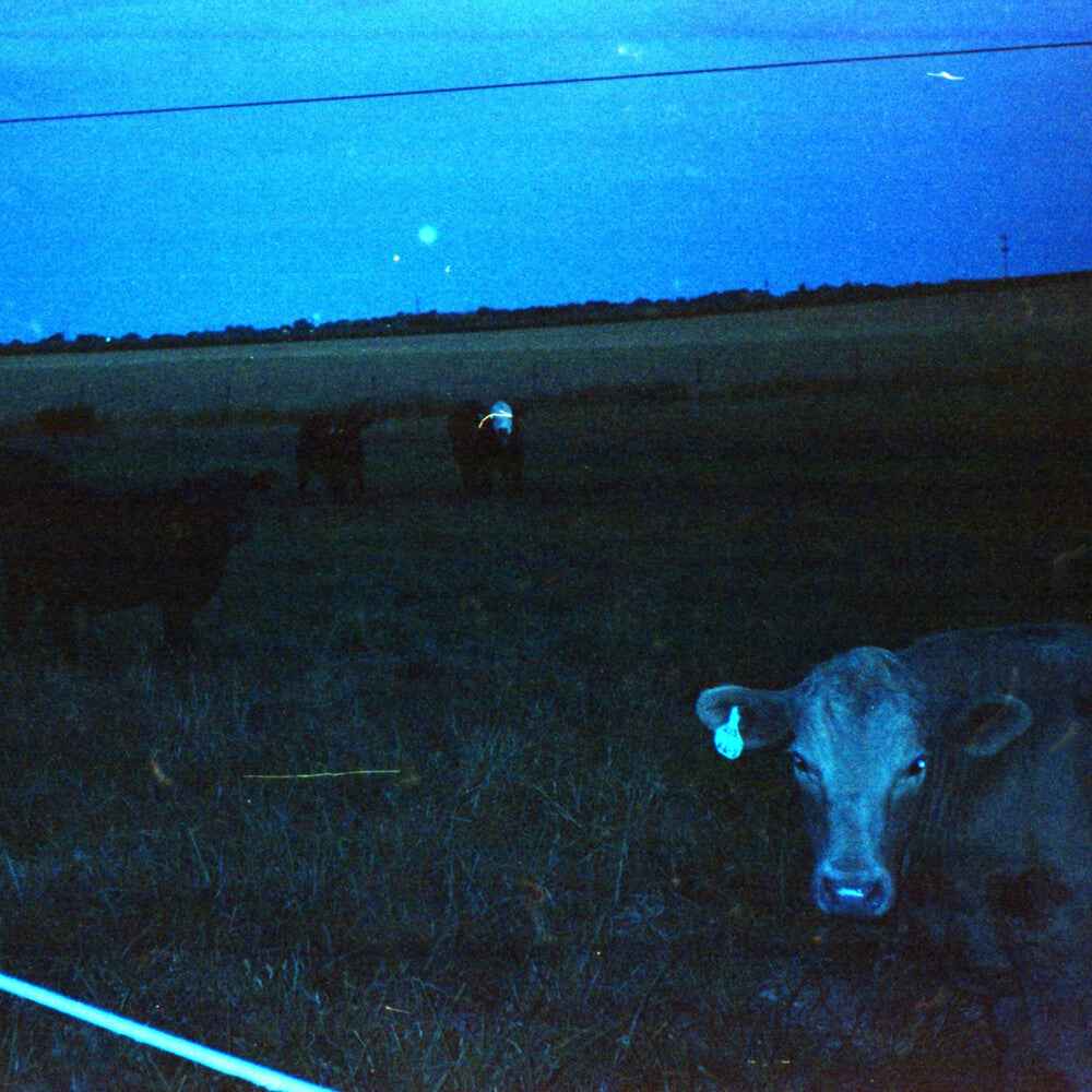 Antarctica - Dark Blue (Blue) [LP]