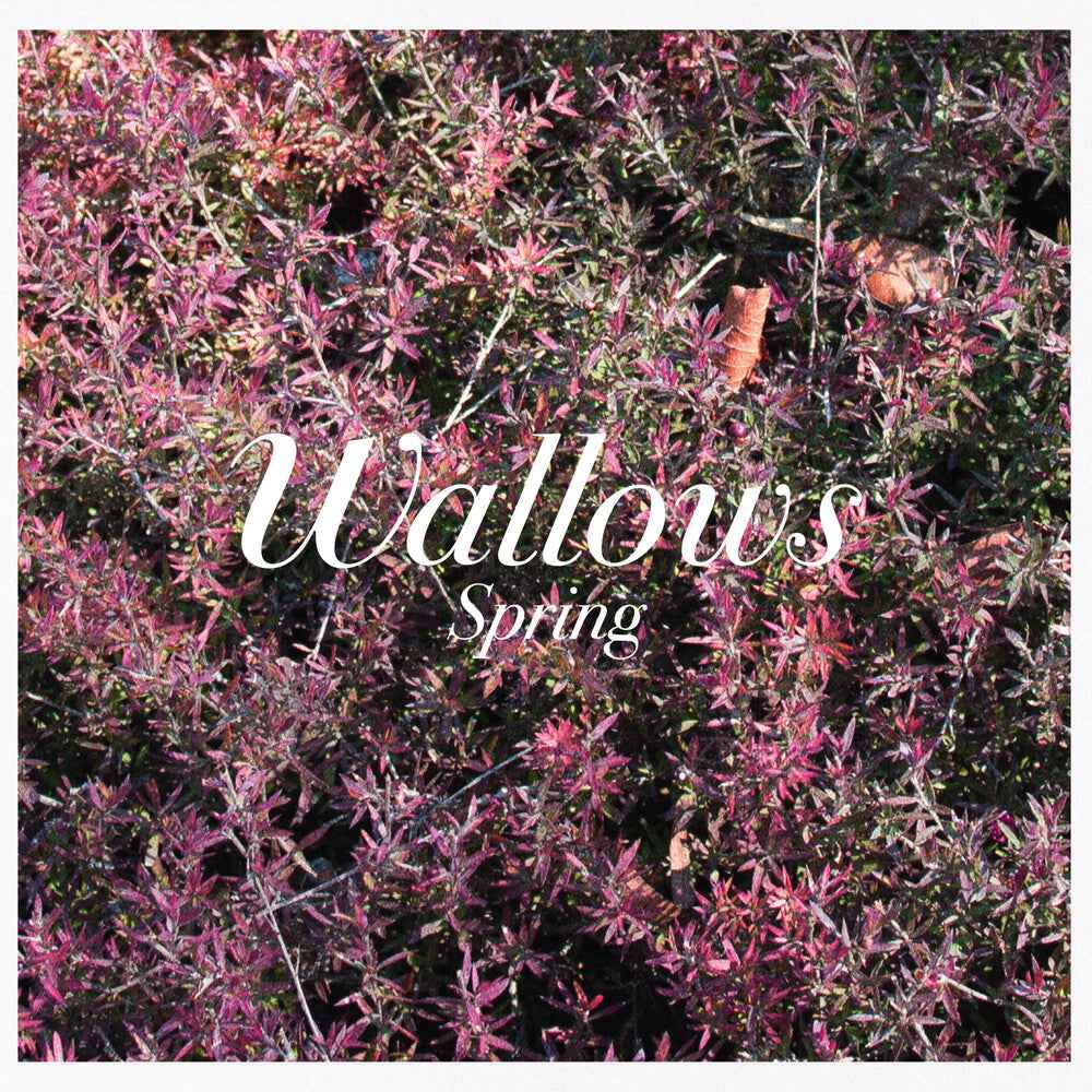 Spring (Mod) [CD]