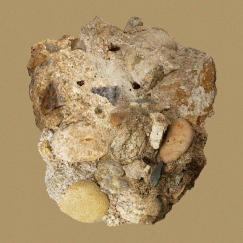 Car the garden - Absence [With Booklet] (Asia)