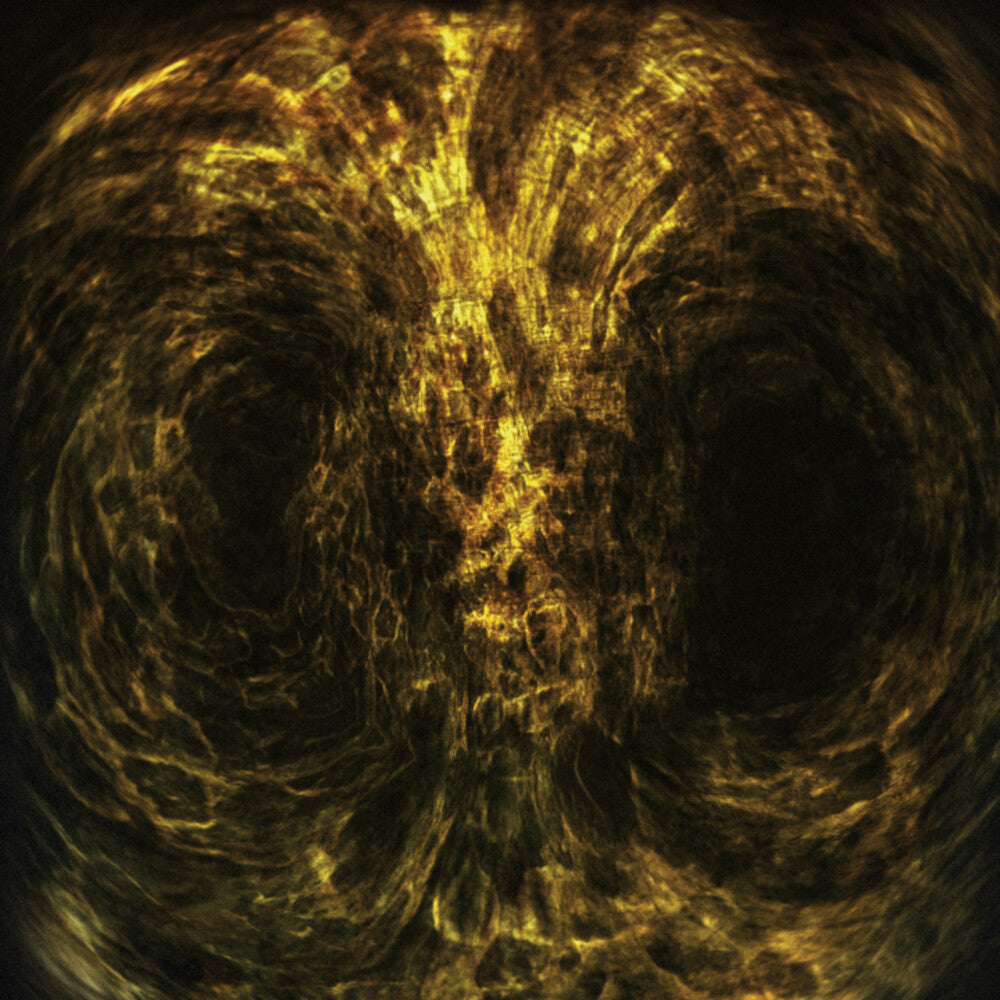 Impetuous Ritual - Iniquitous [LP] Vinyl Record