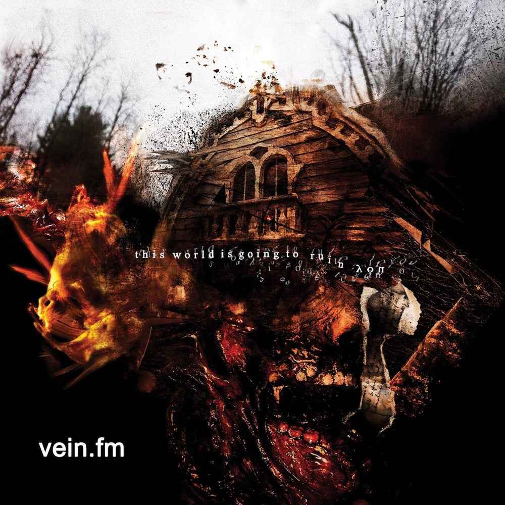 This World Is Going To Ruin You [LP]
