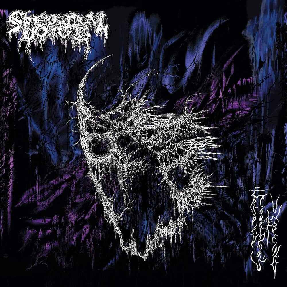 Eroded Corridors Of Unbeing [LP]