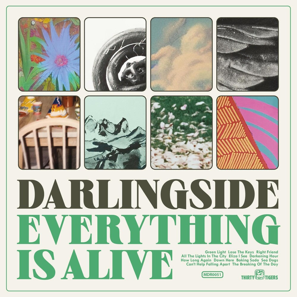 Darlingside - Everything Is Alive [LP] Vinyl Record
