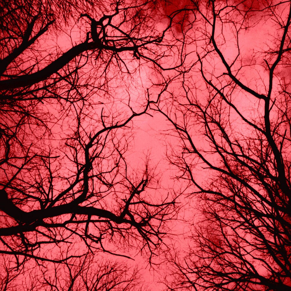 Marco Colonna - Red Planet Music CD