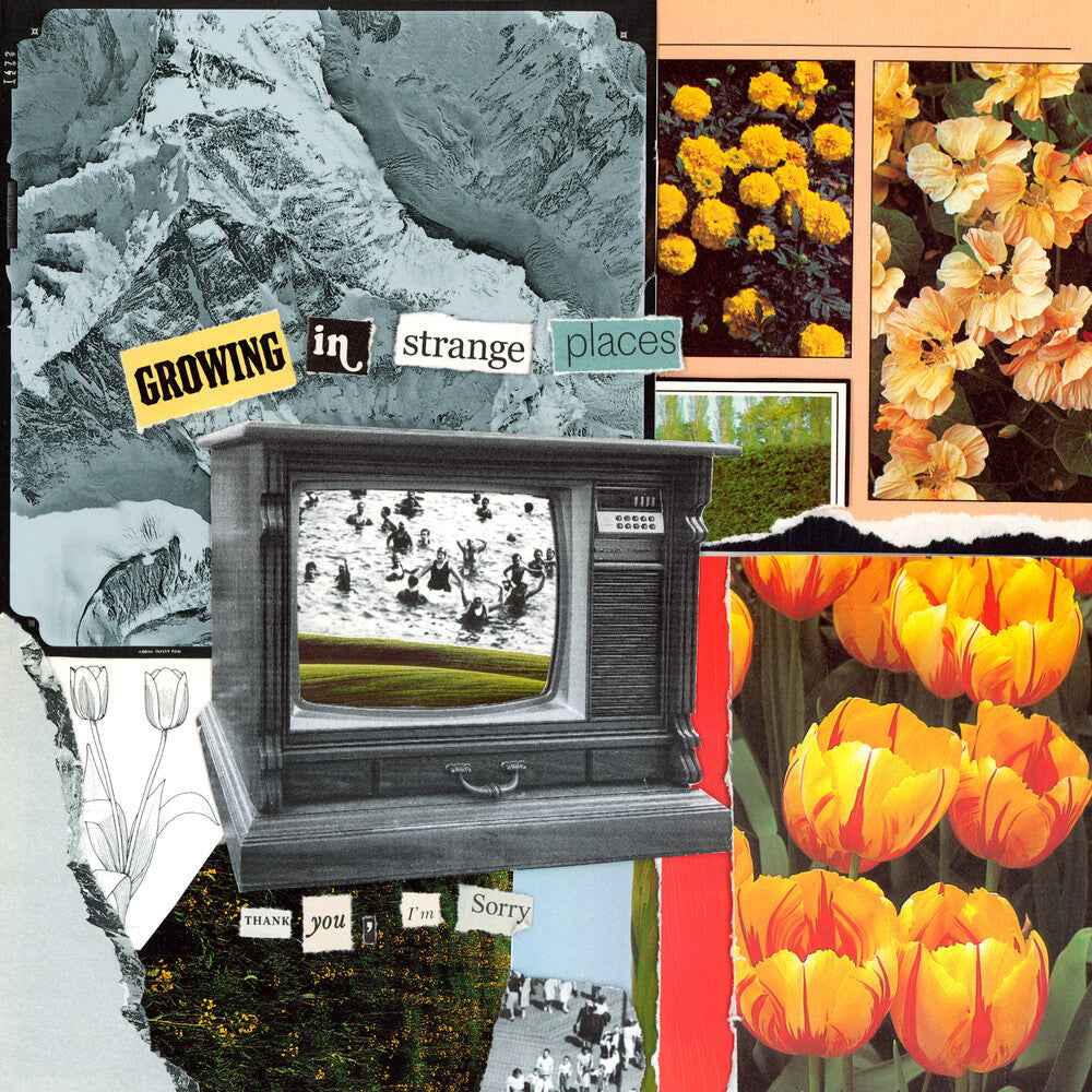 Growing In Strange Places - Orange Crush [Colored Vinyl]