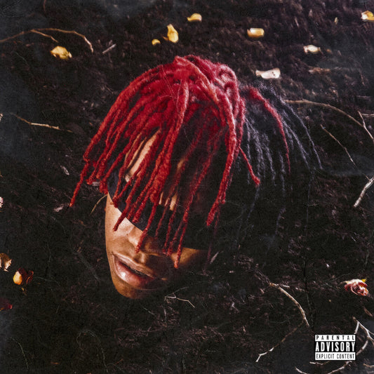 DC The Don - Funeral [LP] Vinyl Record