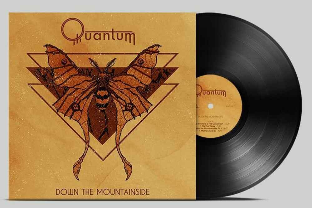 Down The Mountainside [LP]