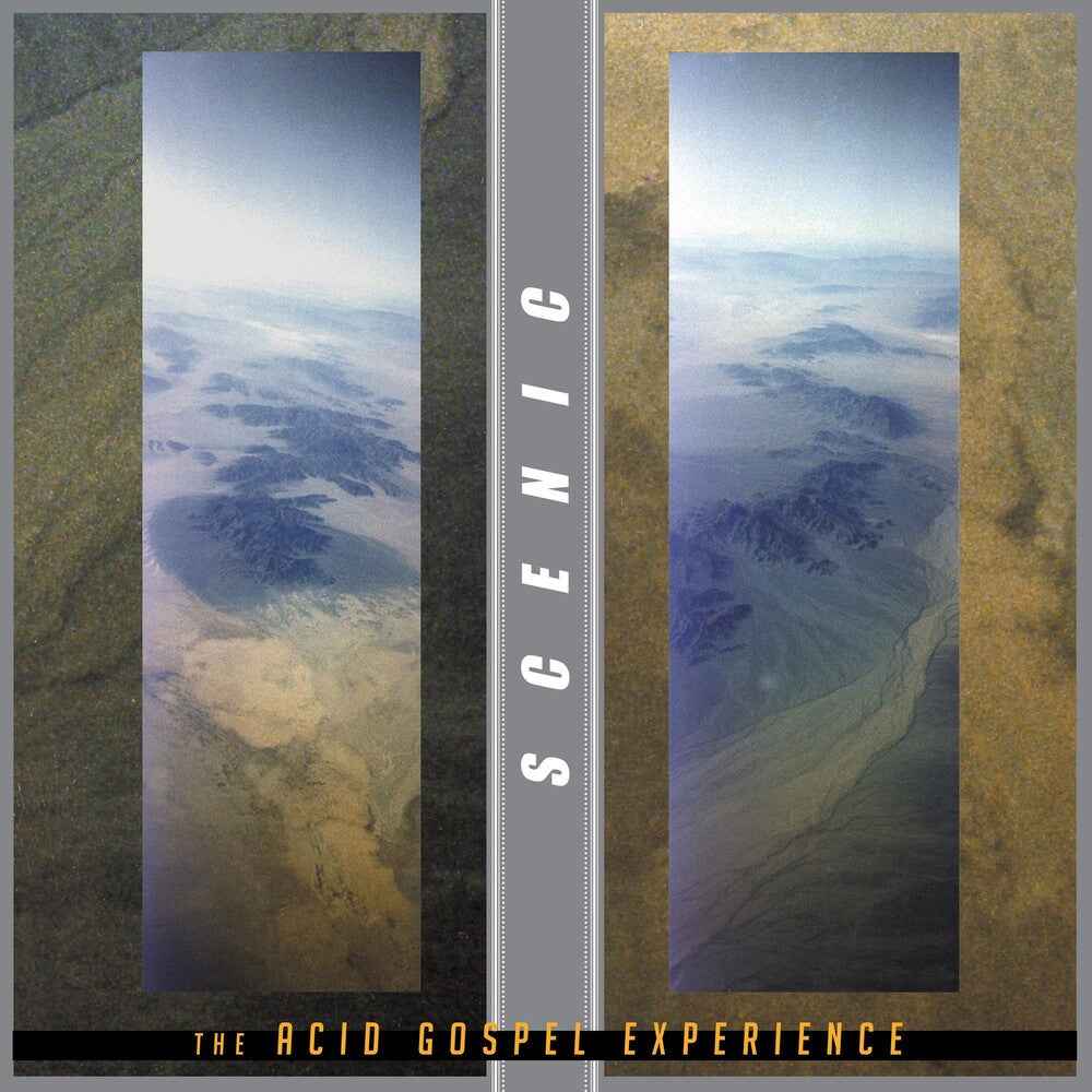 Acid Gospel Experience [Clear Vinyl] (Grn) [Record Store Day]