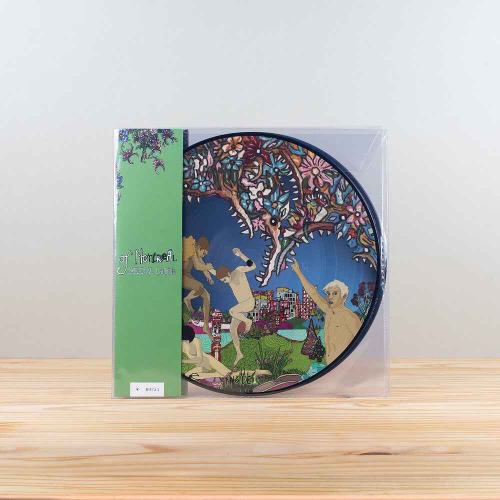 Skeletal Lamping (Gate) [Limited Edition] (Pict) [Reissue]