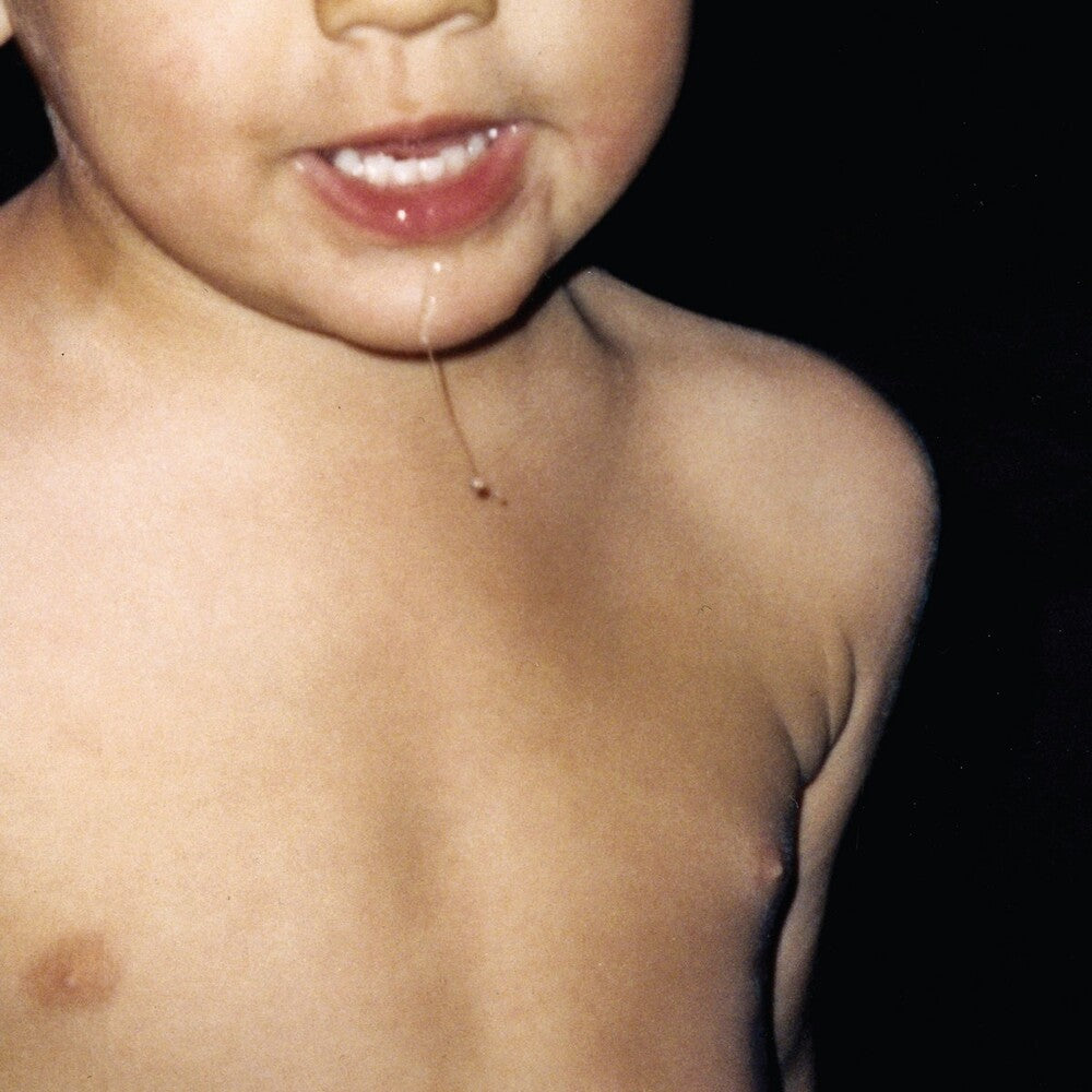 La Paloma - Todavia No [LP] Vinyl Record