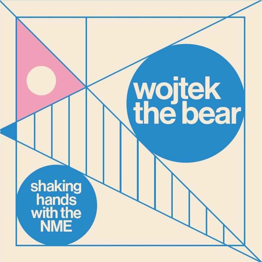 Shaking Hands With The Nme [LP]